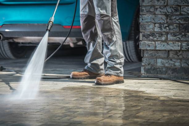 Best Pool Deck Cleaning  in Starbuck, MN