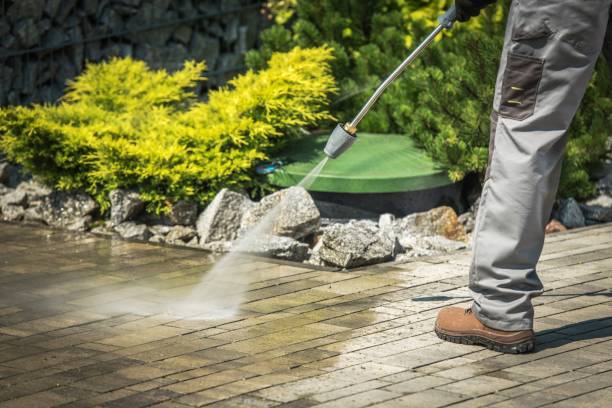 Best Boat and Dock Cleaning  in Starbuck, MN