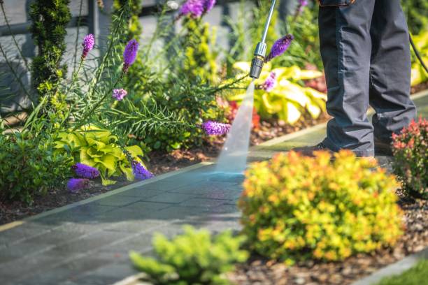Best Fence Cleaning  in Starbuck, MN
